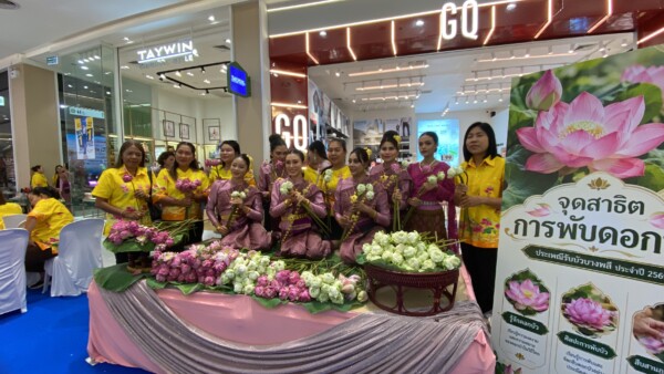 สมุทรปราการ จังหวัดสมุทรปราการ แถลงจัดงาน “ประเพณีรับบัว ประจำปี 2569” สืบสานอัตลักษณ์ท้องถิ่น หนึ่งเดียวในโลก แห่งเดียวในไทย